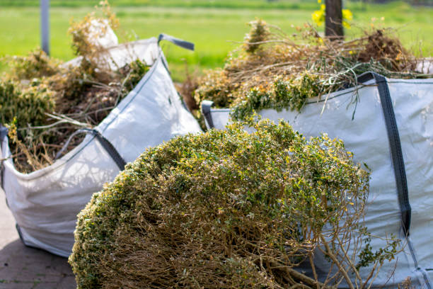 Best Electronics Removal Services  in Manitou Beach Devils Lake, MI